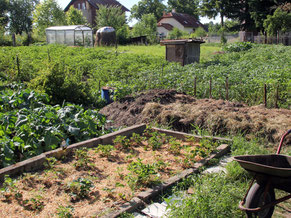 Urban Gardening geht aufs Land